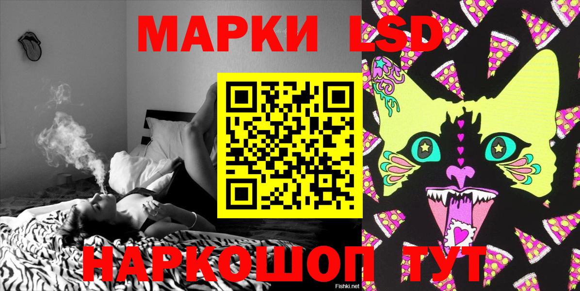 Галлюциногенные грибы Калуга