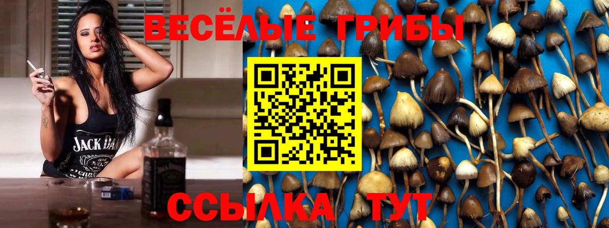 Псилоцибиновые грибы мицелий  Вход с VPN  Калуга 