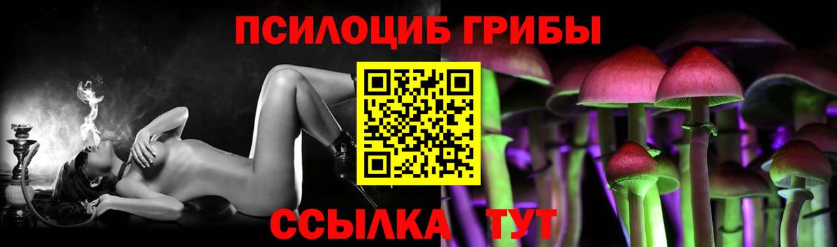 Псилоцибиновые грибы прущие грибы Калуга